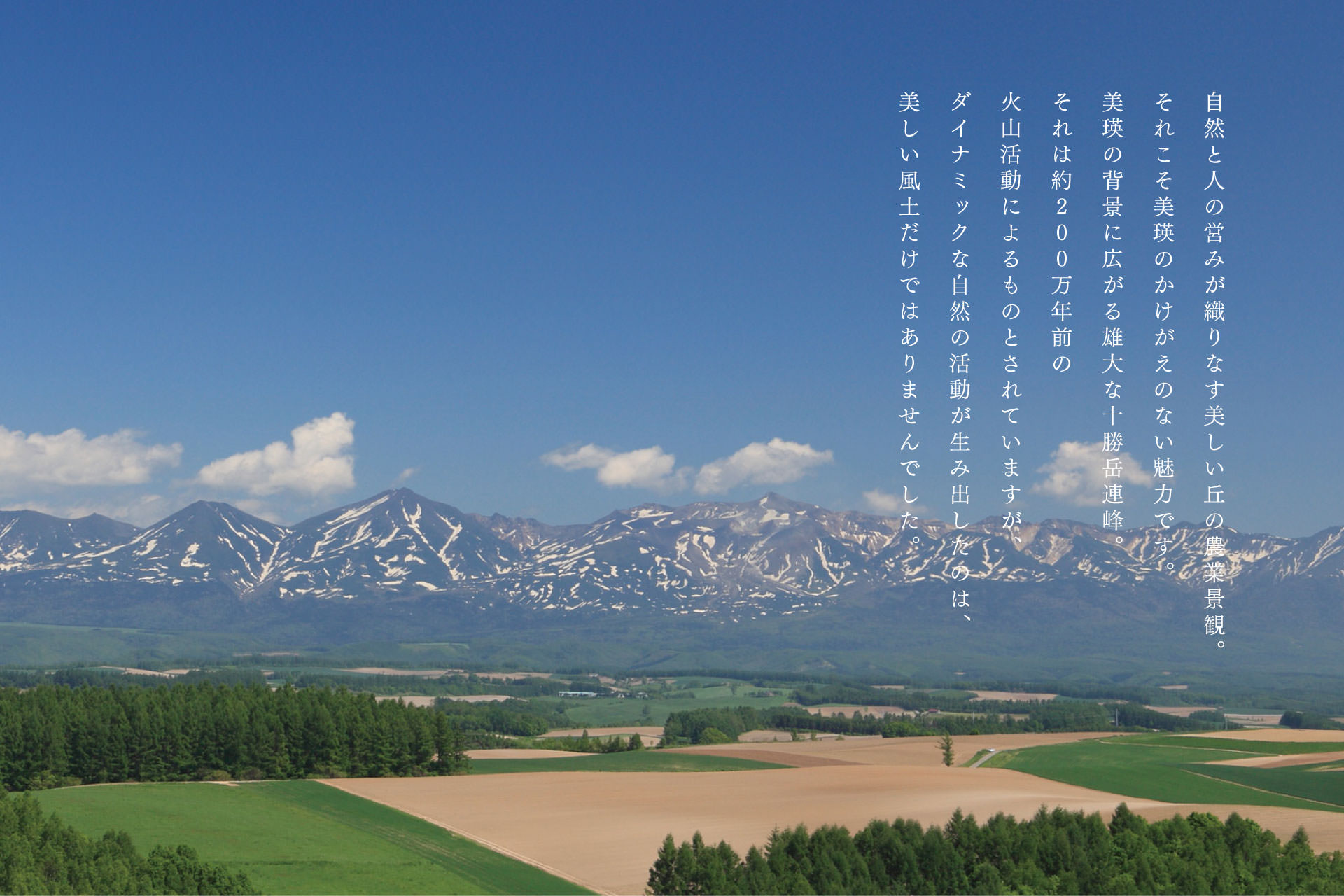 地域ブランディング｜美瑛のコンセプトイメージ1